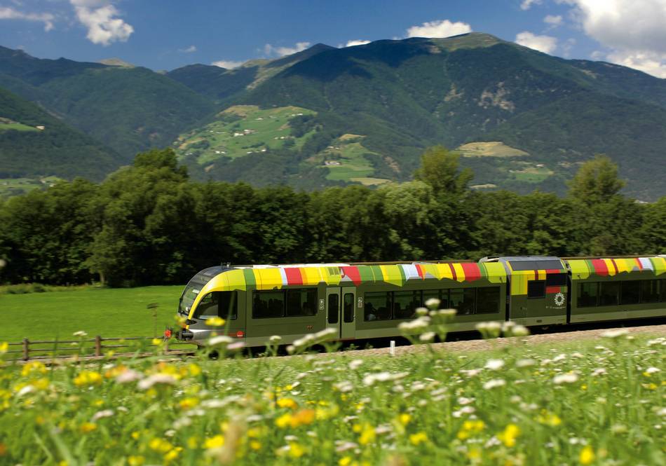 Ein bunt gestreifter Regionalzug fährt vor einer grünen Berglandschaft und einer Wiese mit Wildblumen in der Vordergrund