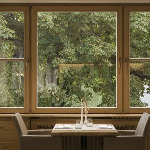 Fenstertisch vor dem 100jährigen Kastanienbaum