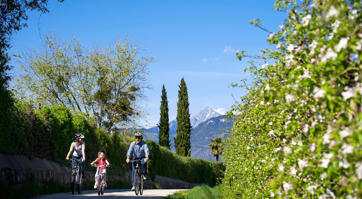 Mountainbiker in Meran 2000 beim Bikeurlaub oberhalb von Meran