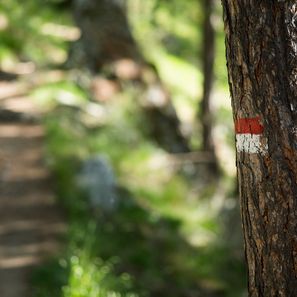 ein Südtiroler Waalweg, die antiken Bewässerungskanäle sind heute beliebte Wanderwege im Meranerland